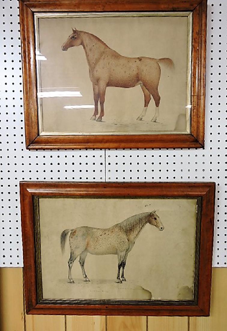 Pair of very early pencil drawings of horses, drawn by (1 of 4)