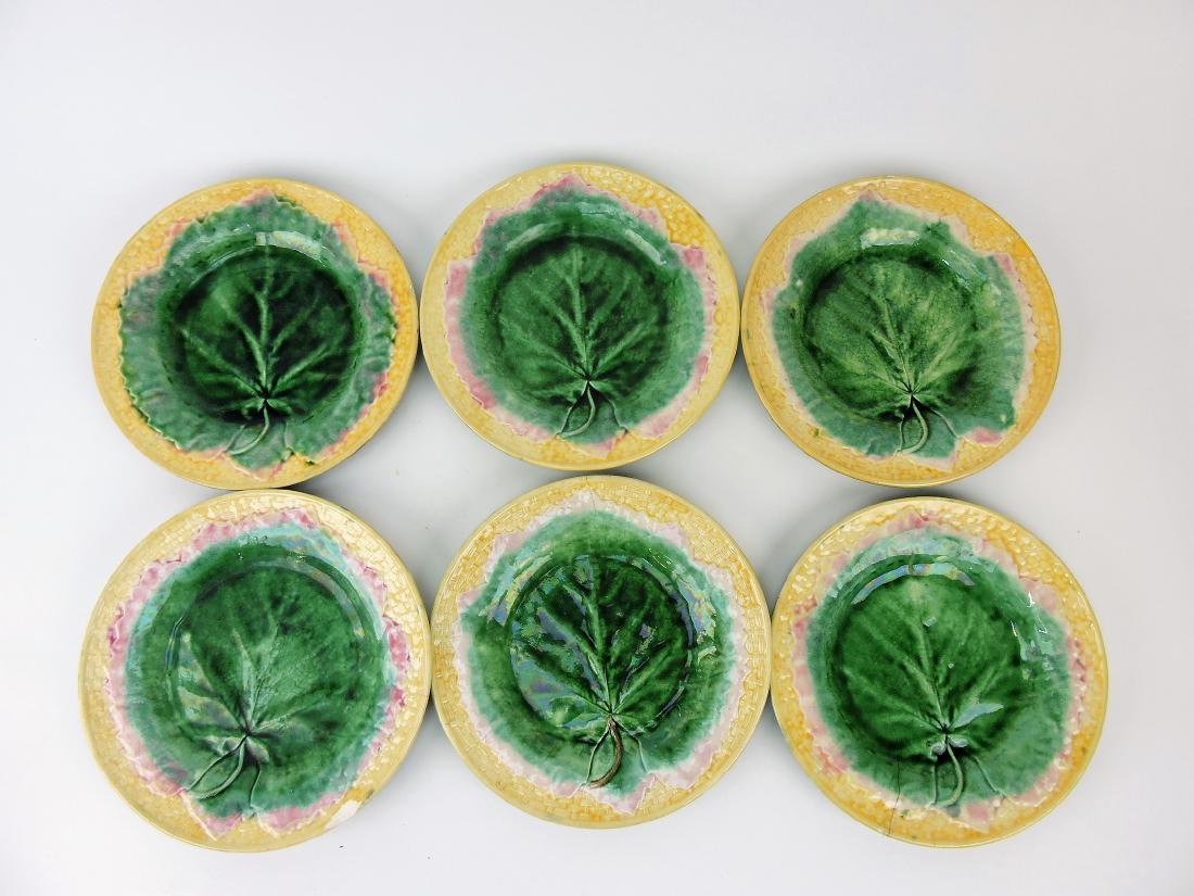 Etruscan Majolica set of 6 - 9" maple (1 of 1)