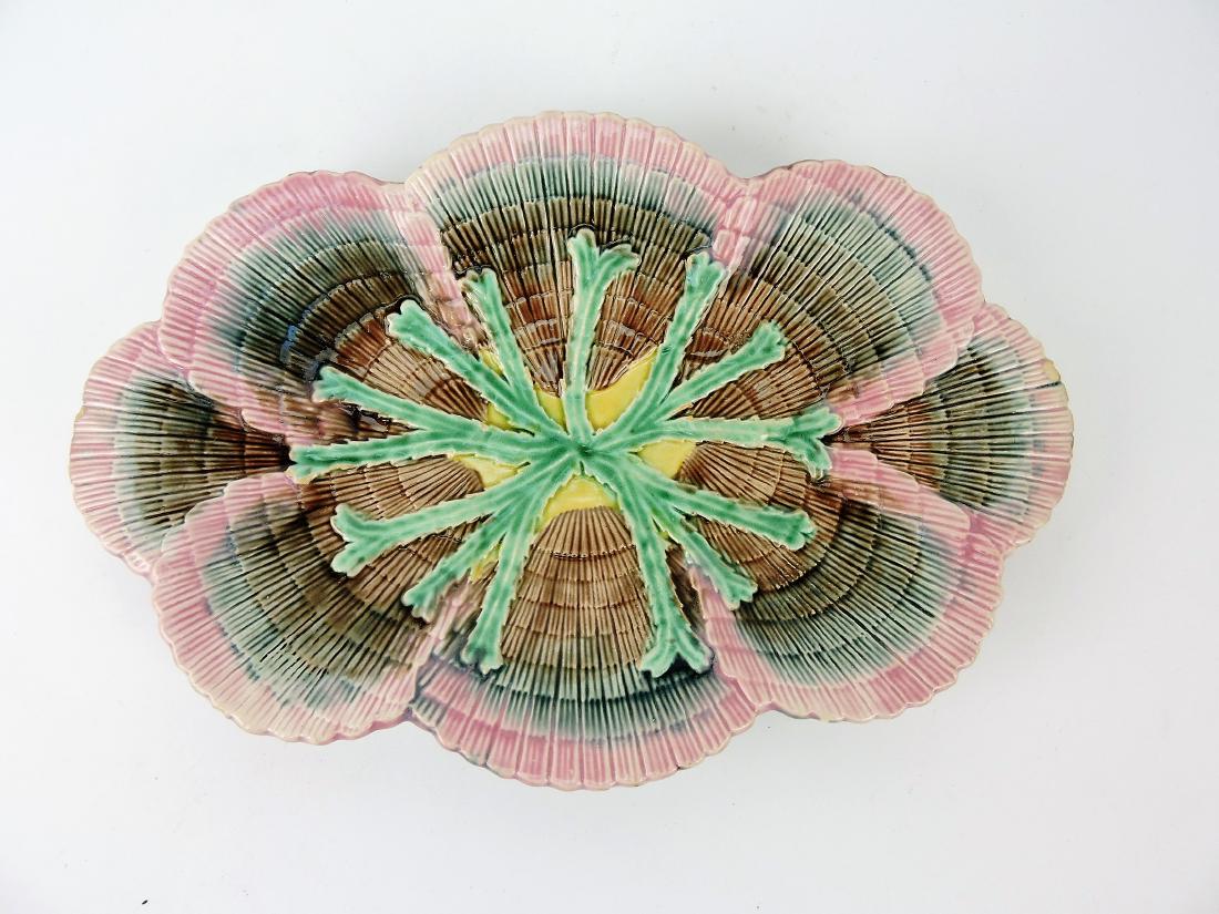 Etruscan Majolica shell & seaweed (1 of 1)