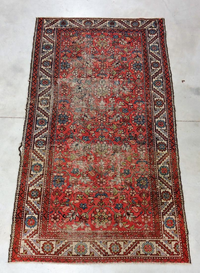 Oriental rug 43" x 77", wear (1 of 1)