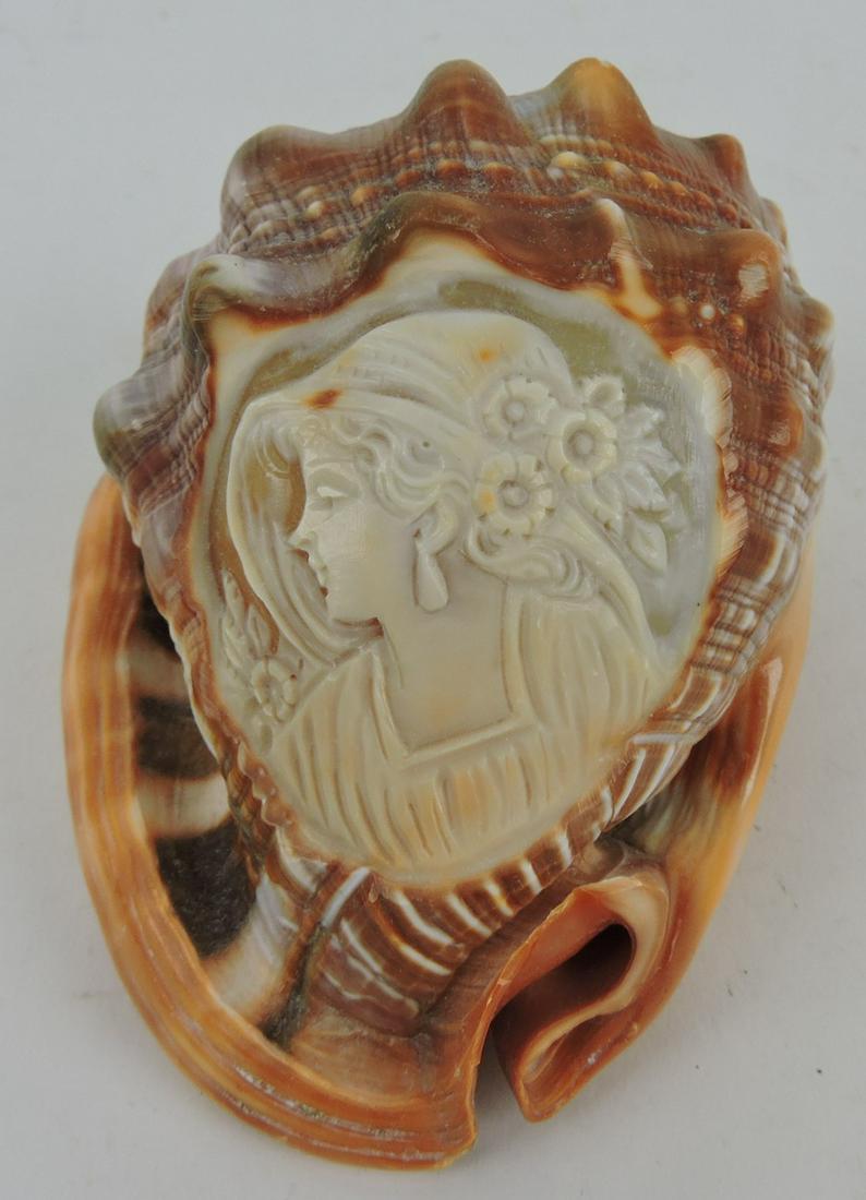 Carved cameo conch shell, 5 1/4"w, (1 of 2)