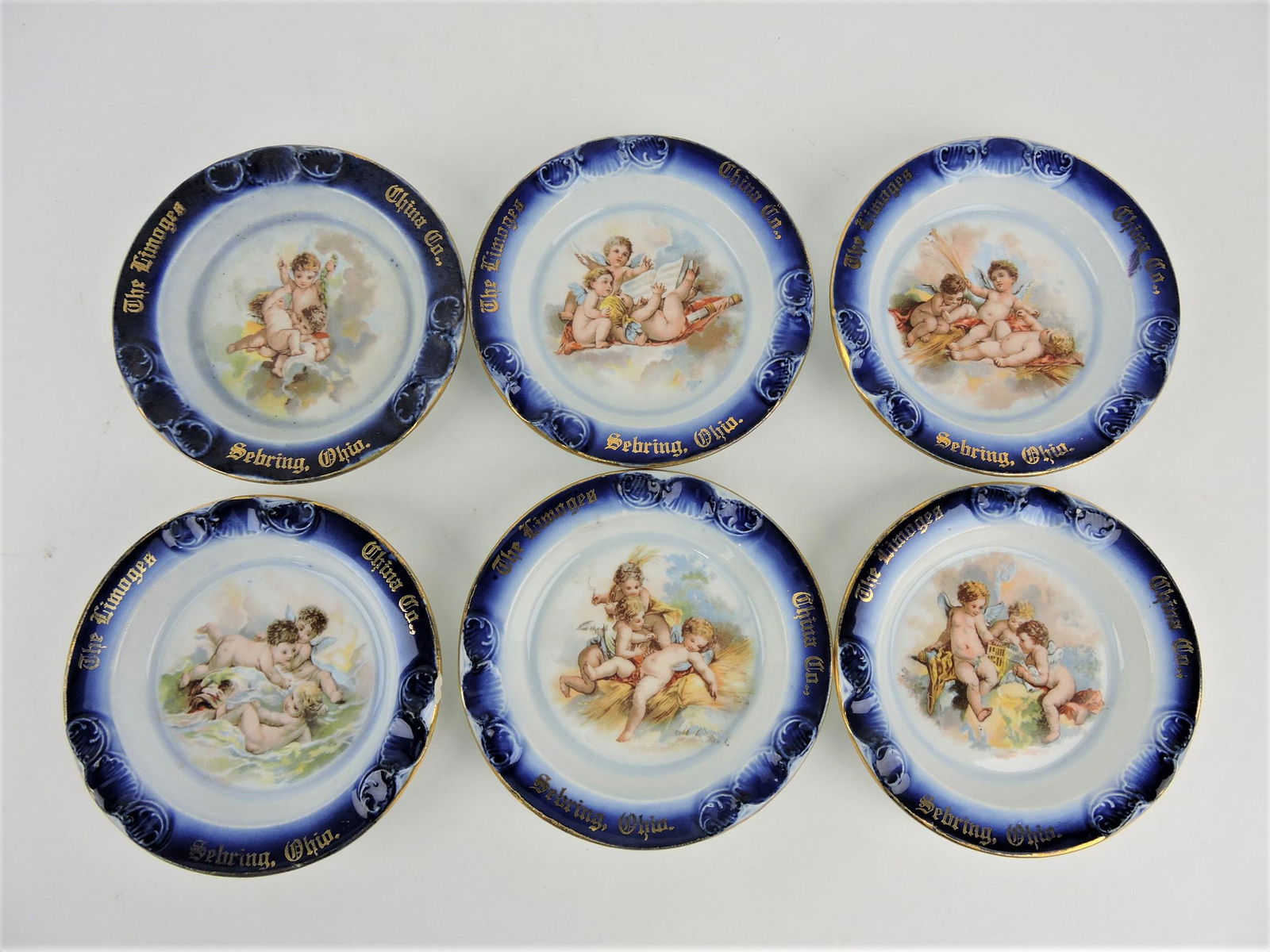 Limoges China Co., Sebring Ohio set (1 of 1)