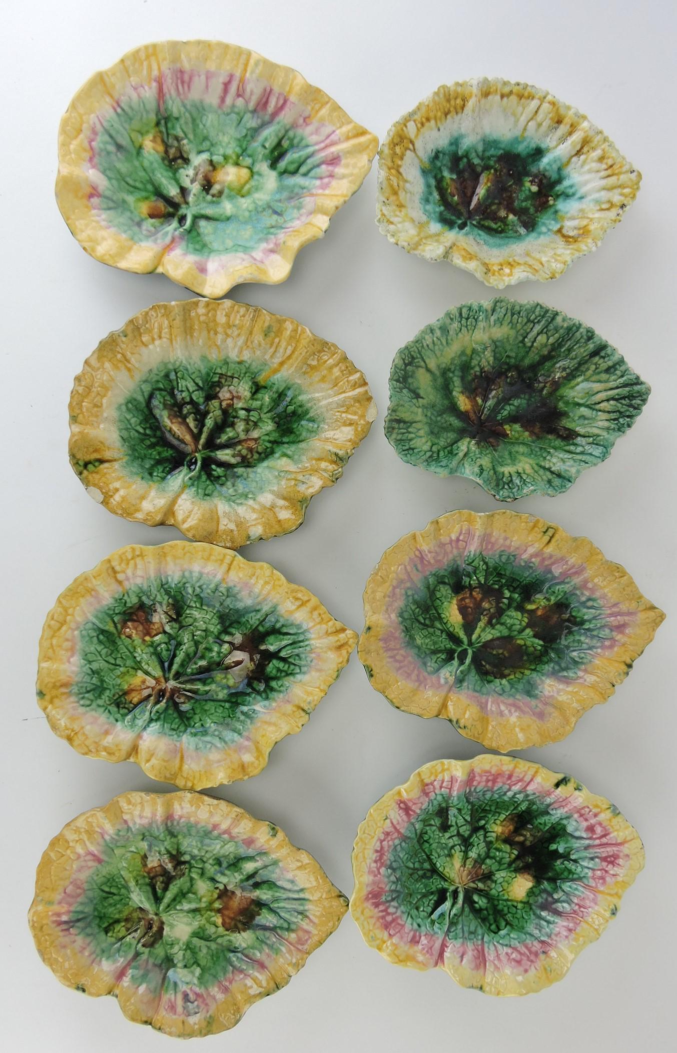 Majolica lot of 8 begonia dishes,: various condition