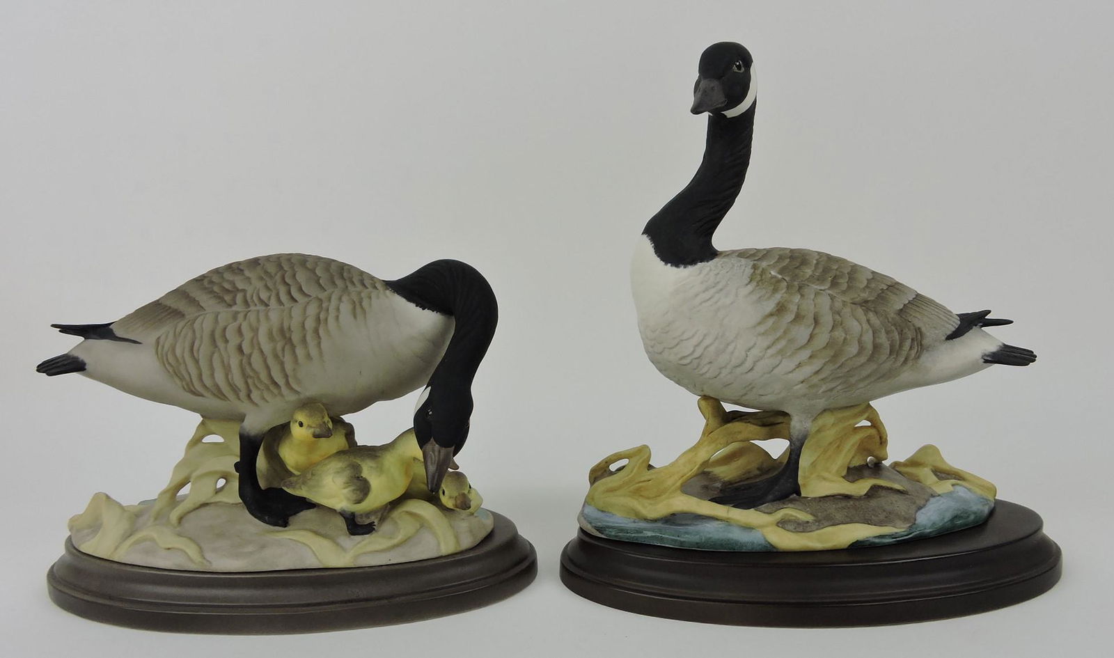 Boehm male and female with chicks (1 of 1)