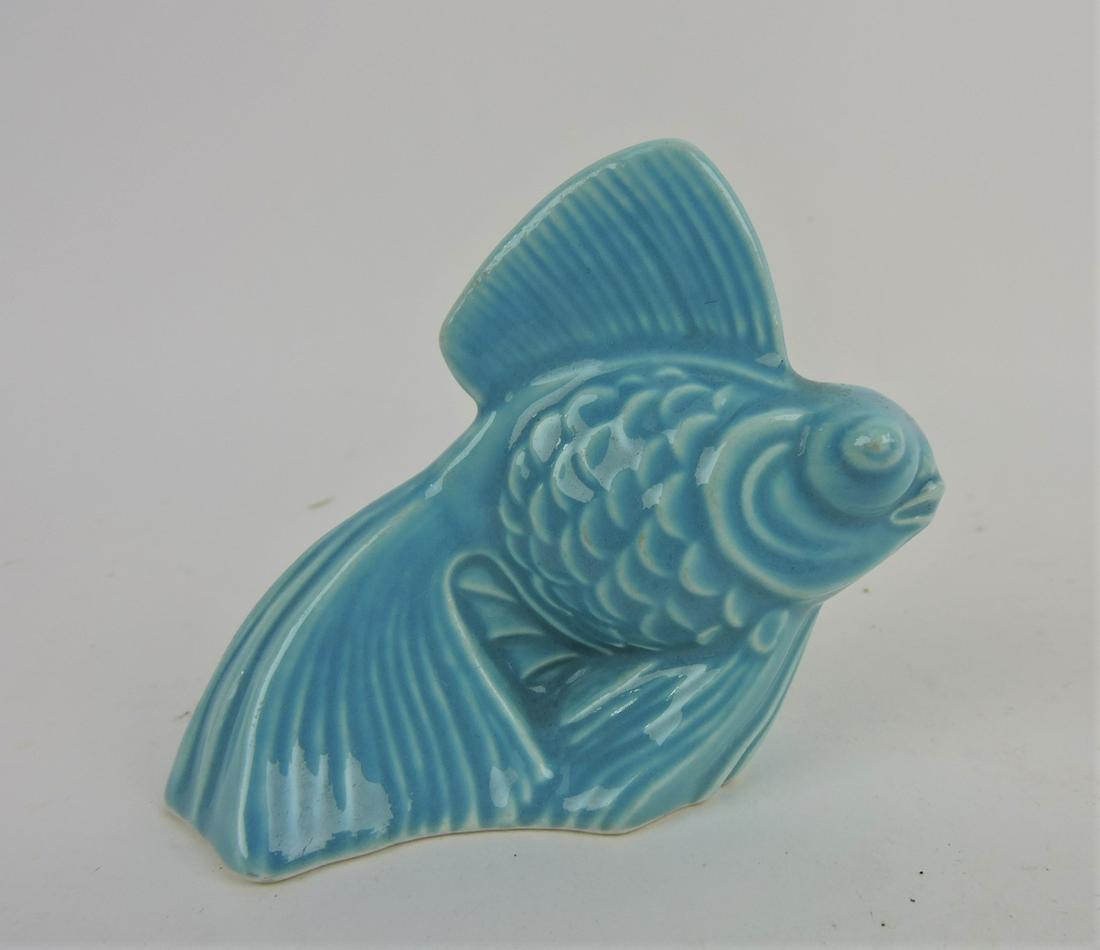 Rare Harlequin turquoise fish (1 of 2)