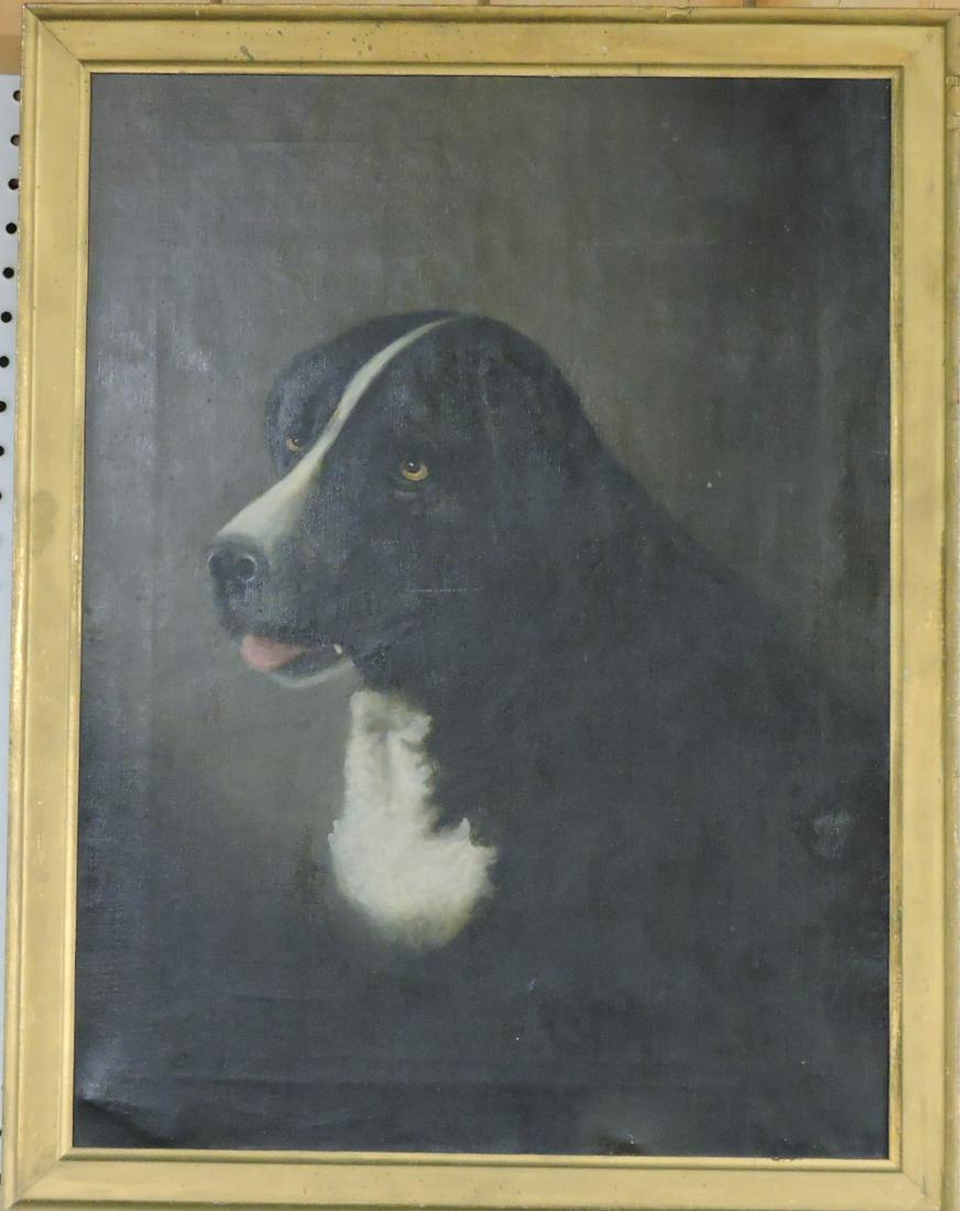 Oil on canvas of dog portrait, signed (1 of 1)