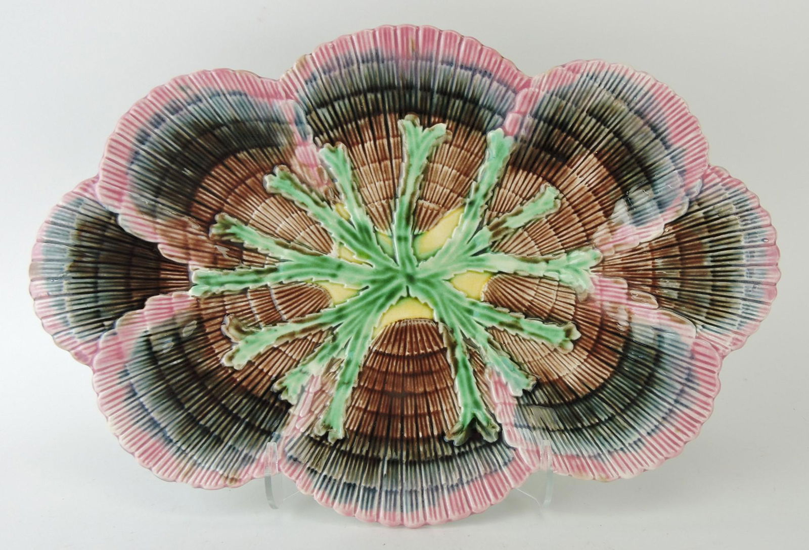 Etruscan majolica shell and seaweed (1 of 1)