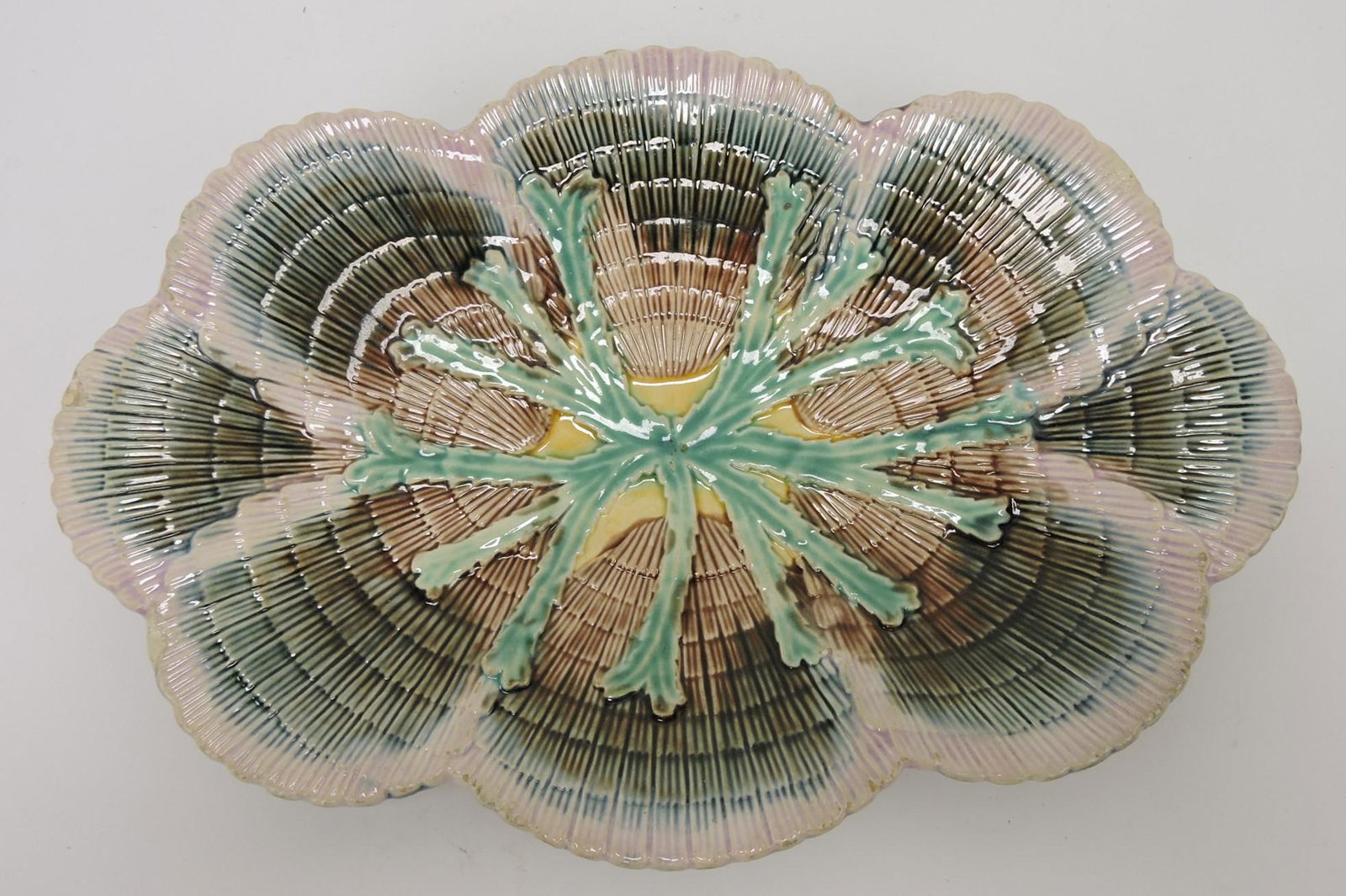 Etruscan shell and seaweed majolica (1 of 1)