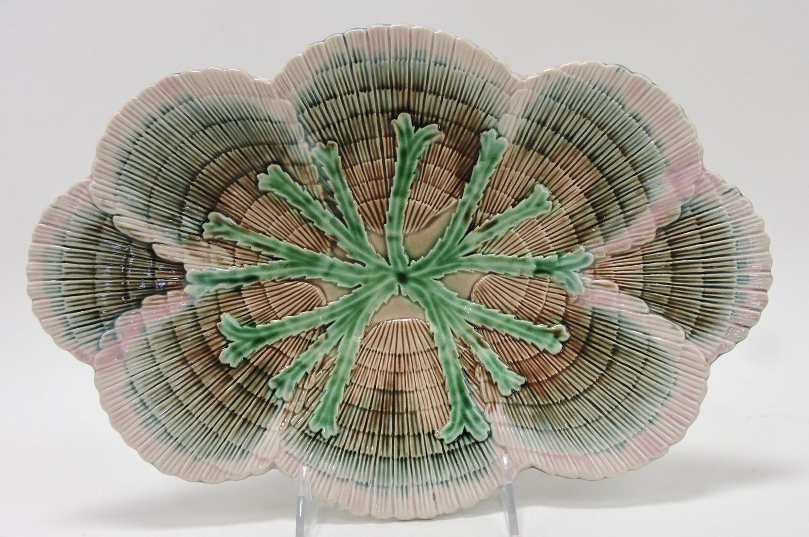 Etruscan majolica shell and seaweed (1 of 1)