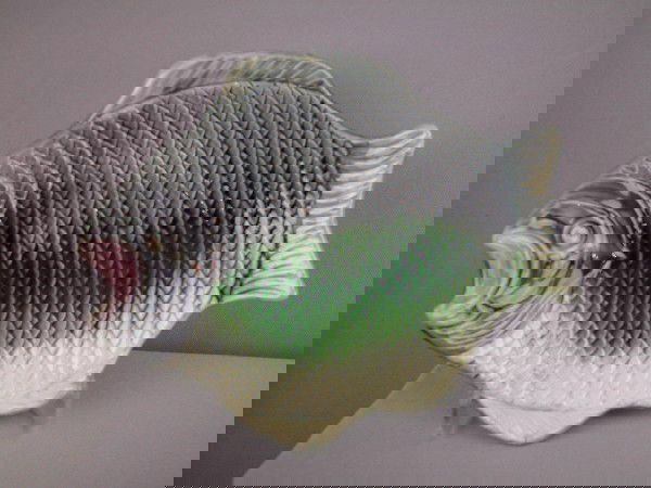 Majolica fish plate, 9": Majolica fish plate, 9"