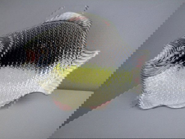 Majolica fish plate, 9": Majolica fish plate, 9"