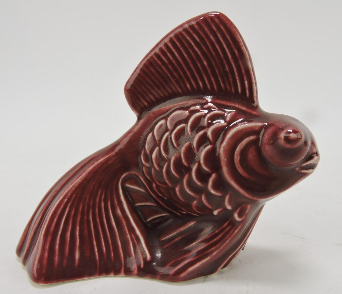 Fiesta Harlequin maroon fish (1 of 1)
