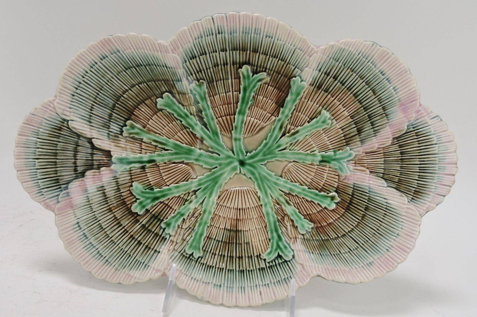 Etruscan majolica shell and seaweed (1 of 1)