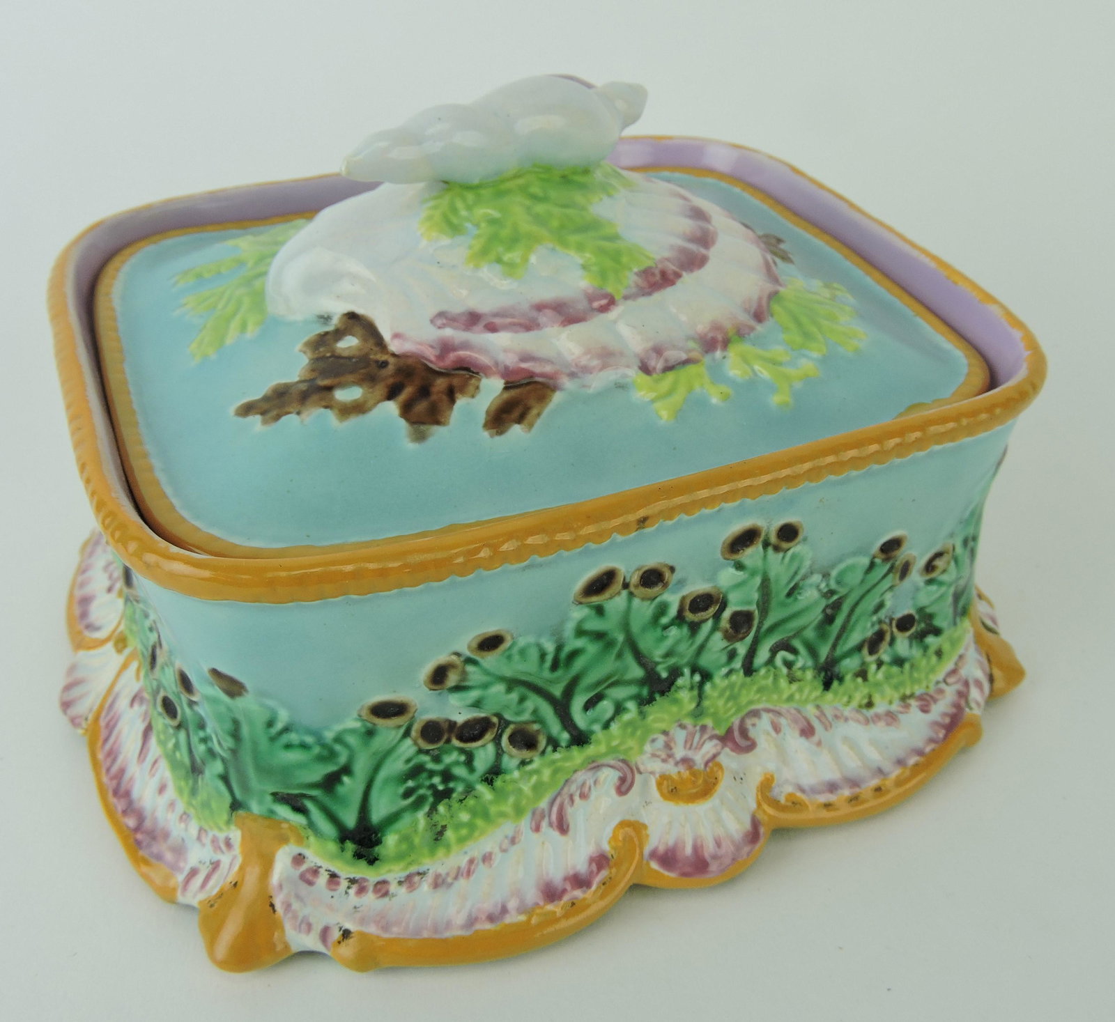 George Jones majolica sardine box: with shells on cover, 6 1/2"w, 4"h; Majolica Mania Vol 1 p116; Betsy & Rick Porter Collection