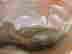 item-126853441=4