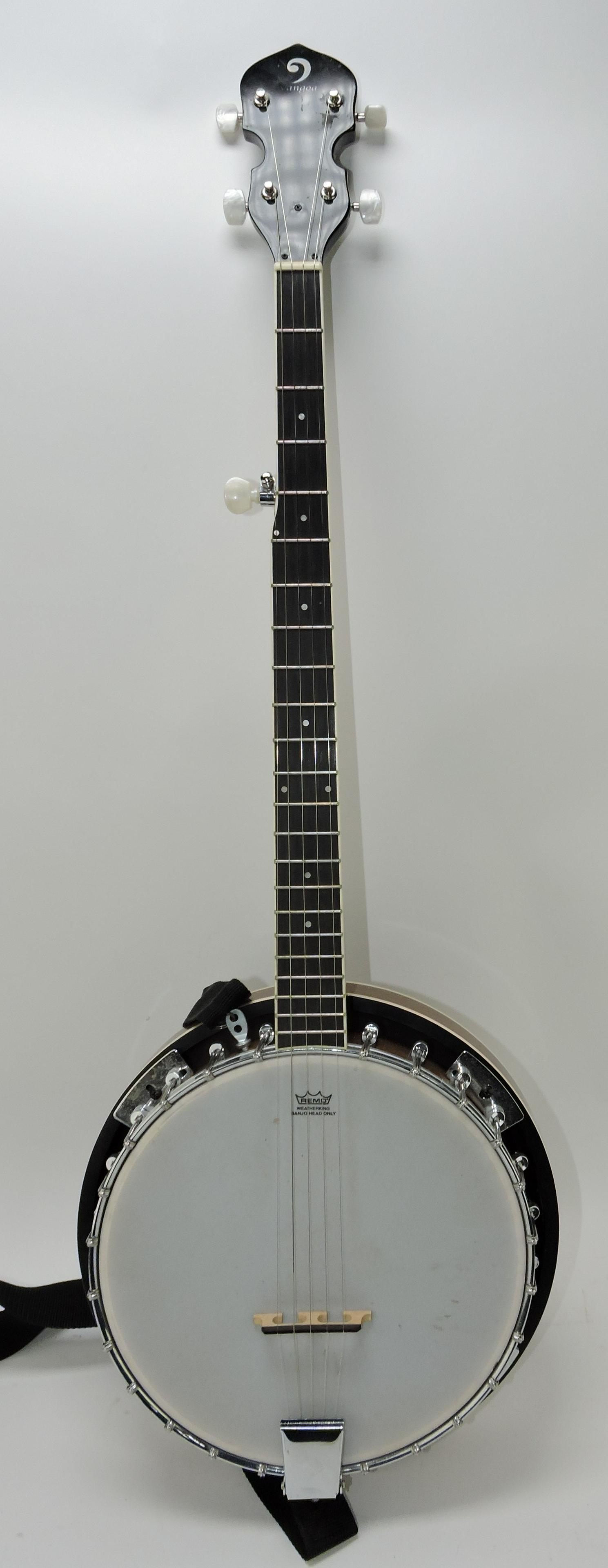 Vangoa banjo with zipper case (1 of 1)