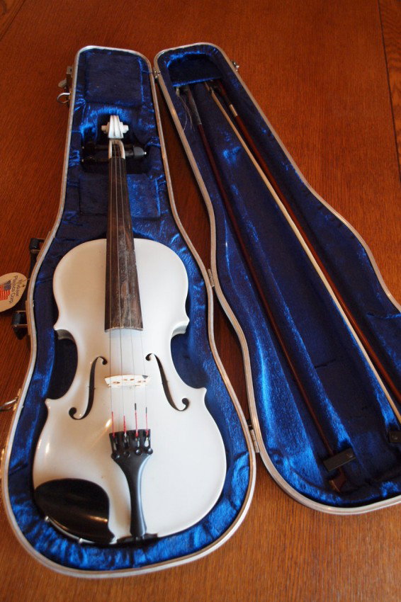 White violin with case: White violin with case
