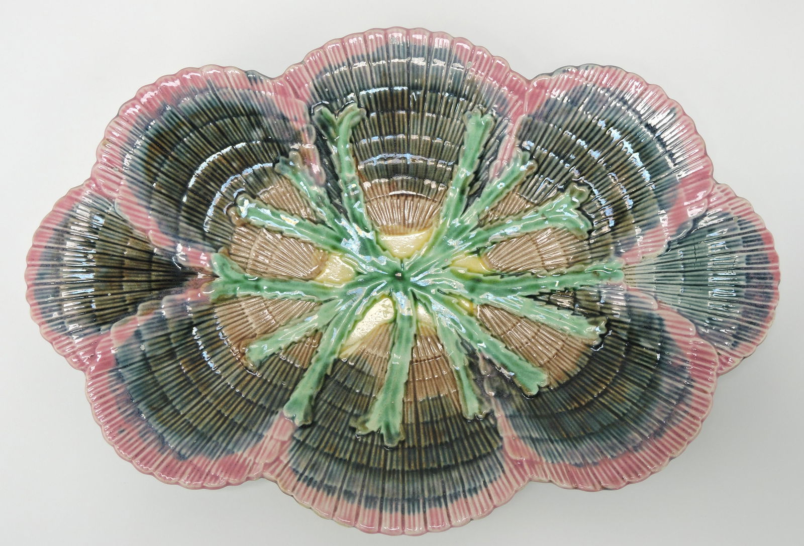 Etruscan majolica shell and seaweed (1 of 1)