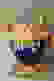 item-11098393=3