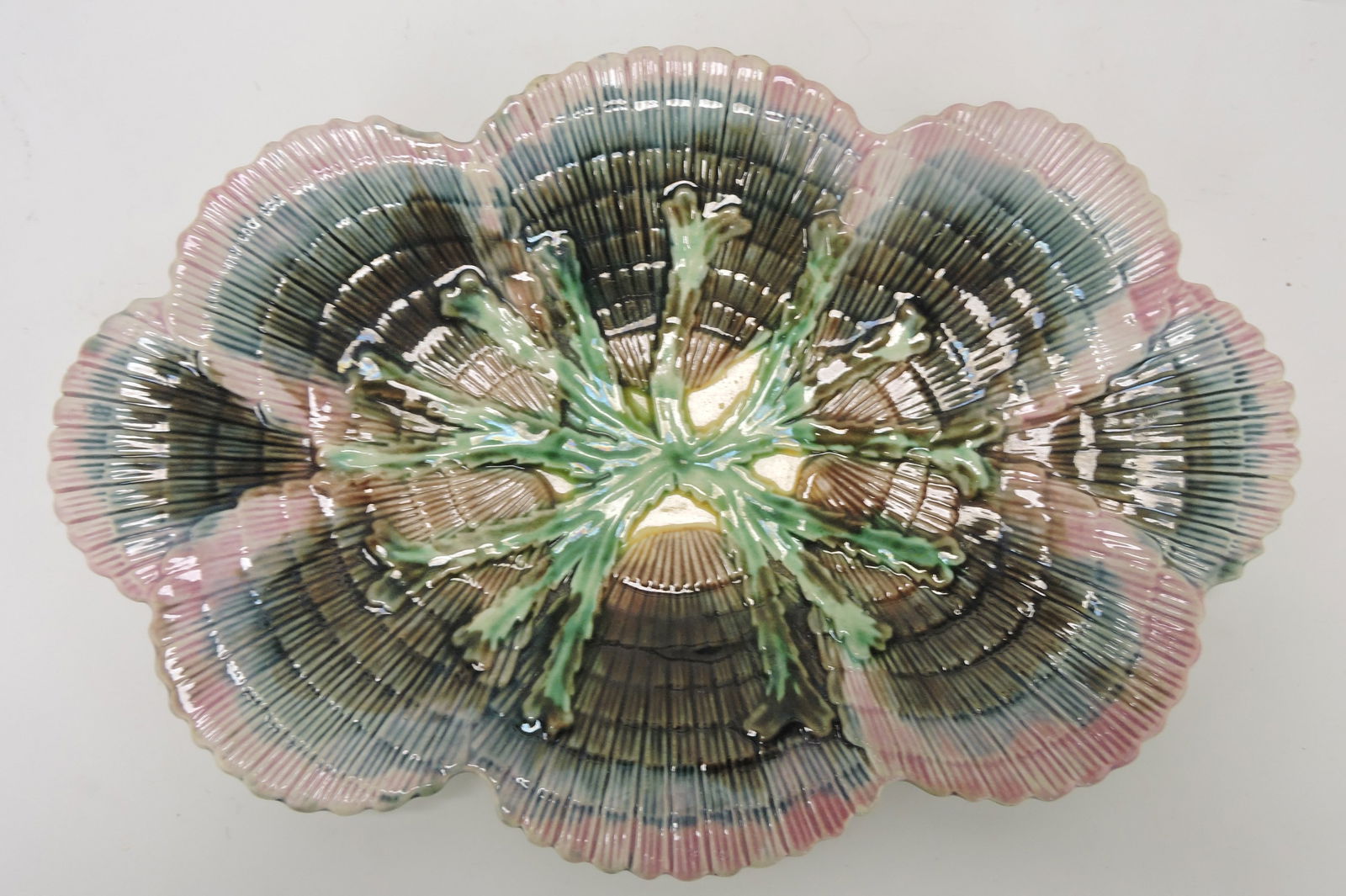 Etruscan majolica shell and seaweed (1 of 1)