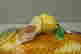 item-13002733=2