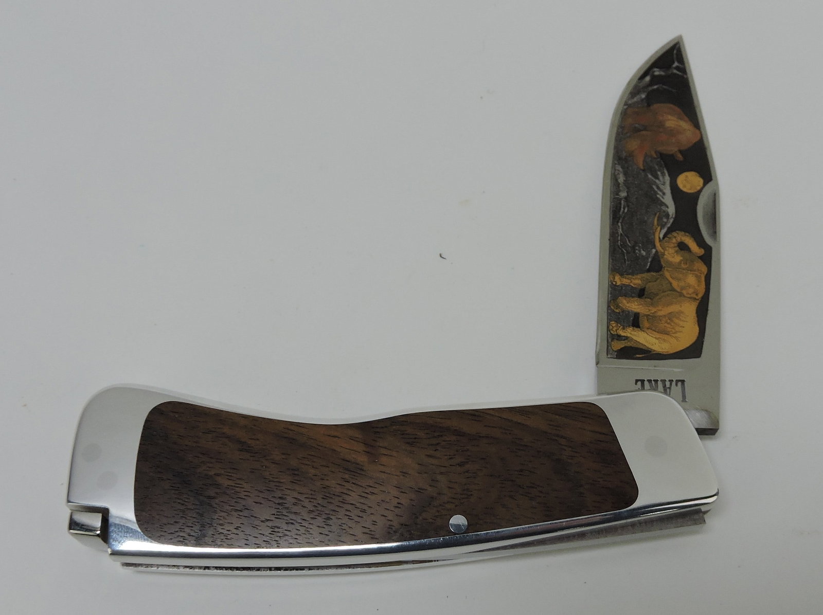 Ron Lake, Eugene OR closed tailback (1 of 2)