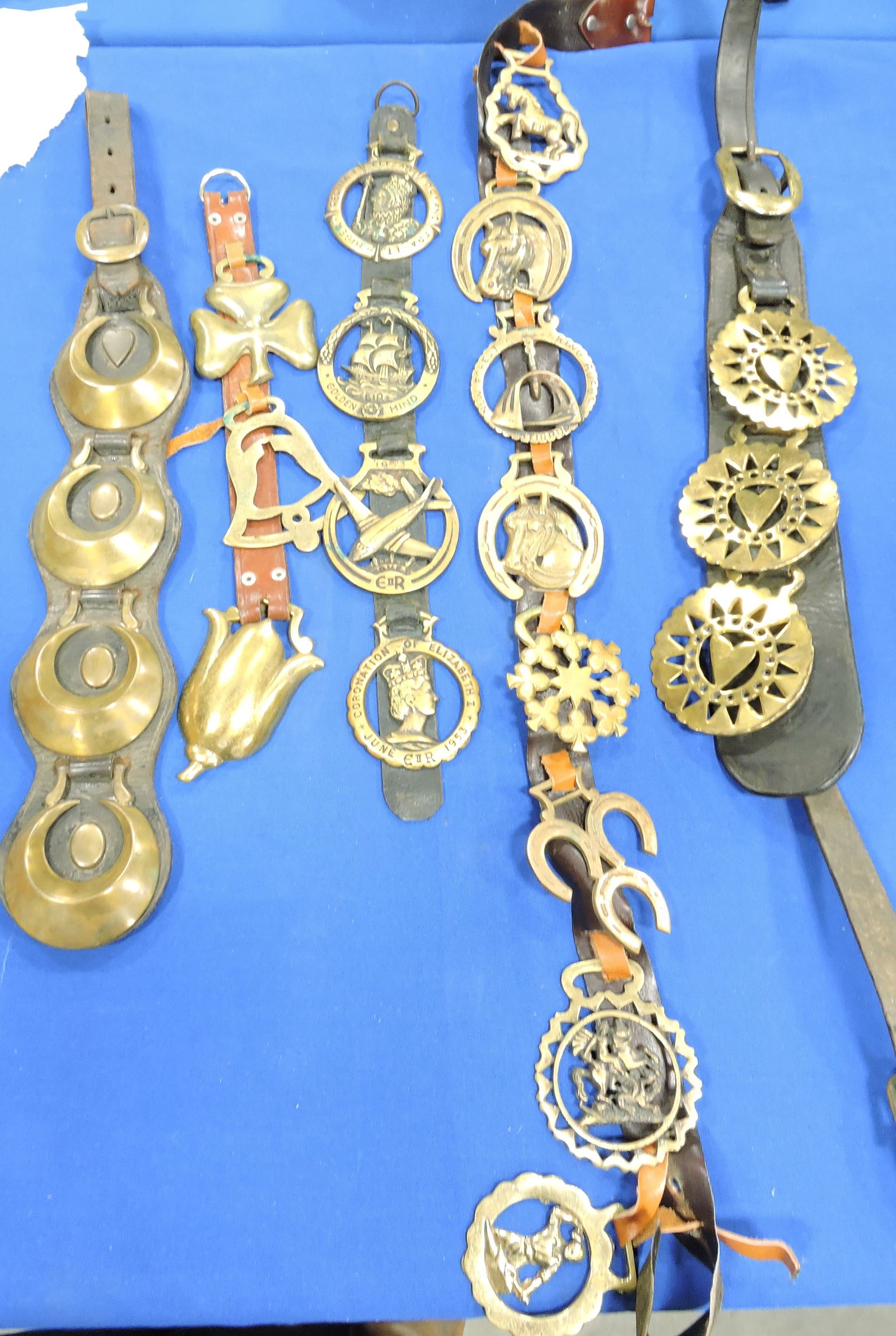 Lot of 22 brass horse harness pieces (1 of 1)