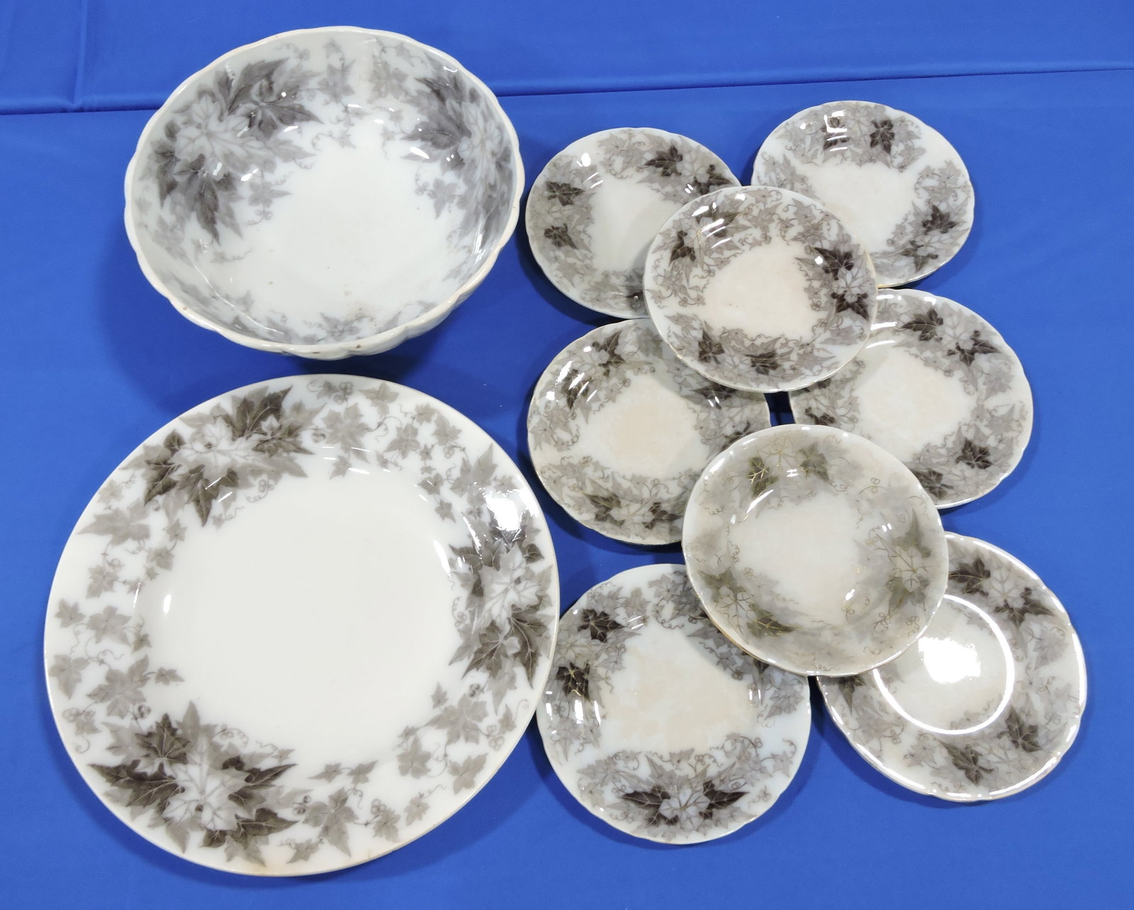 Ironstone 'Bryonia' lot of 10 pcs:: 15" charger, 12" bowl, 8 - 8" plates