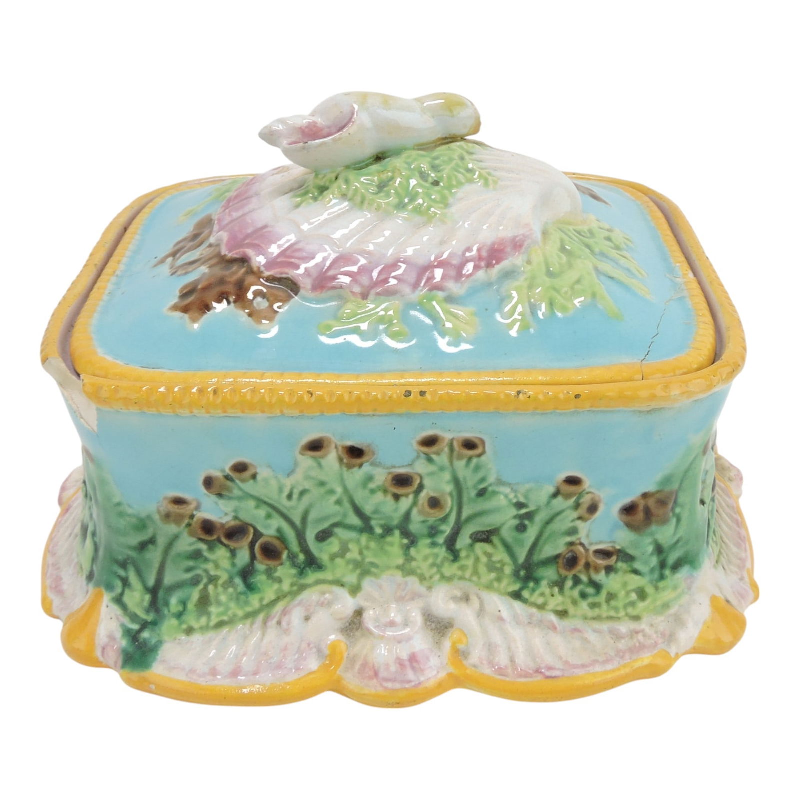 George Jones majolica shell sardine: box, damage to box and lid