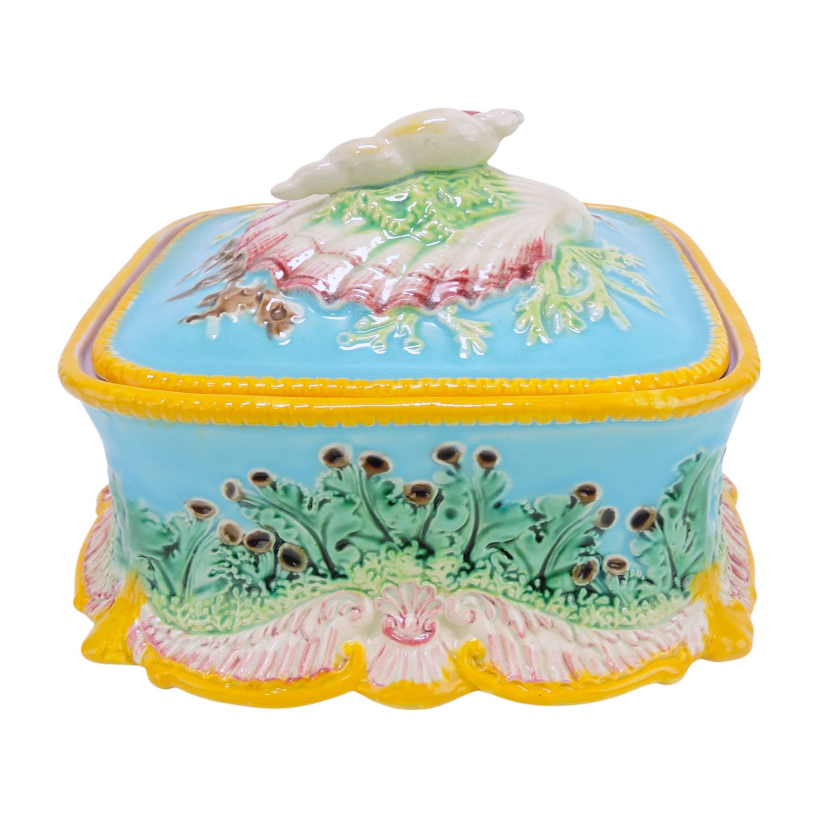 George Jones majolica sardine box: with shells on lid, 4 1/2"h, 6 1/2"w