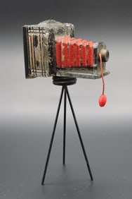 Bellows camera on tripod glass