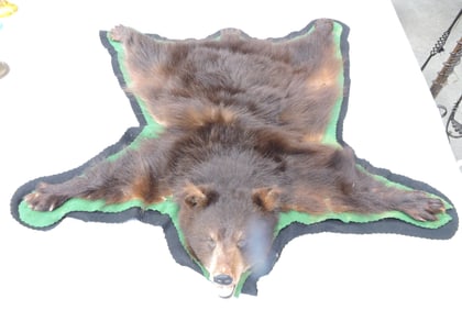 Black bear cub taxidermy rug,