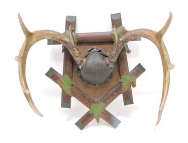 Whitetail deer mounted antlers on