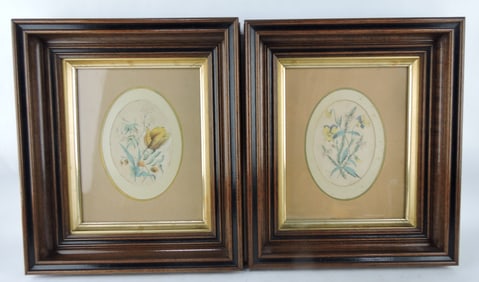 Pair of walnut framed botanical