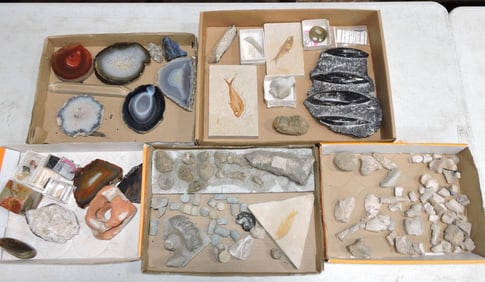 Lot of assorted specimens, rocks,