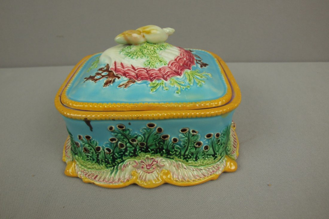 GEORGE JONES majolica sardine box with shells and sea: GEORGE JONES majolica sardine box with shells and seaweed on lid, great color and detail, 6 1/2"l, professional repair to lid