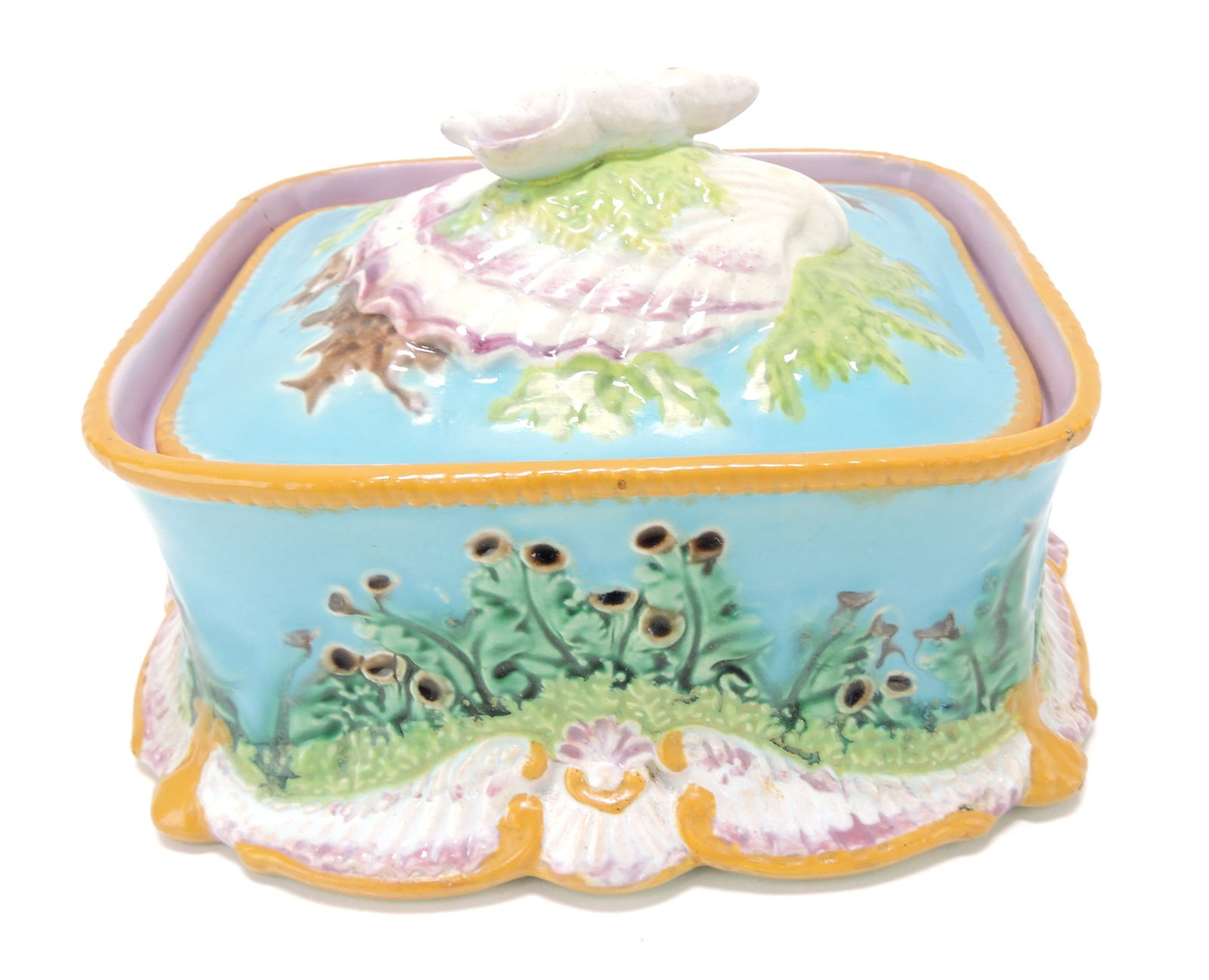 George Jones majolica shell sardine: box with shell on lid, large corner of box broken and re-stuck