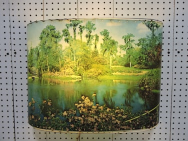 Lighted landscape picture, some losses to