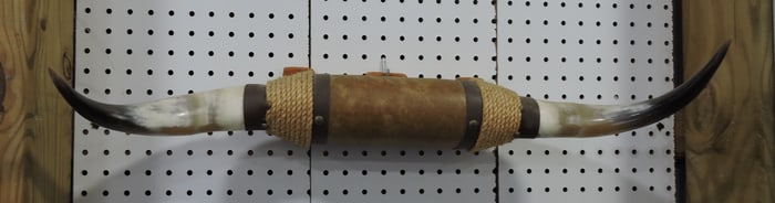 Set of Texas steer horns, 26"w