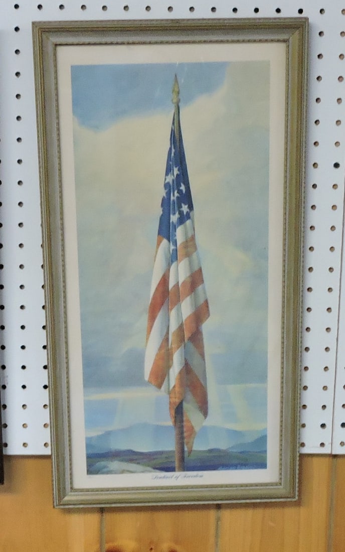 Sentinal of Freedom' flag print,: 24"x12"