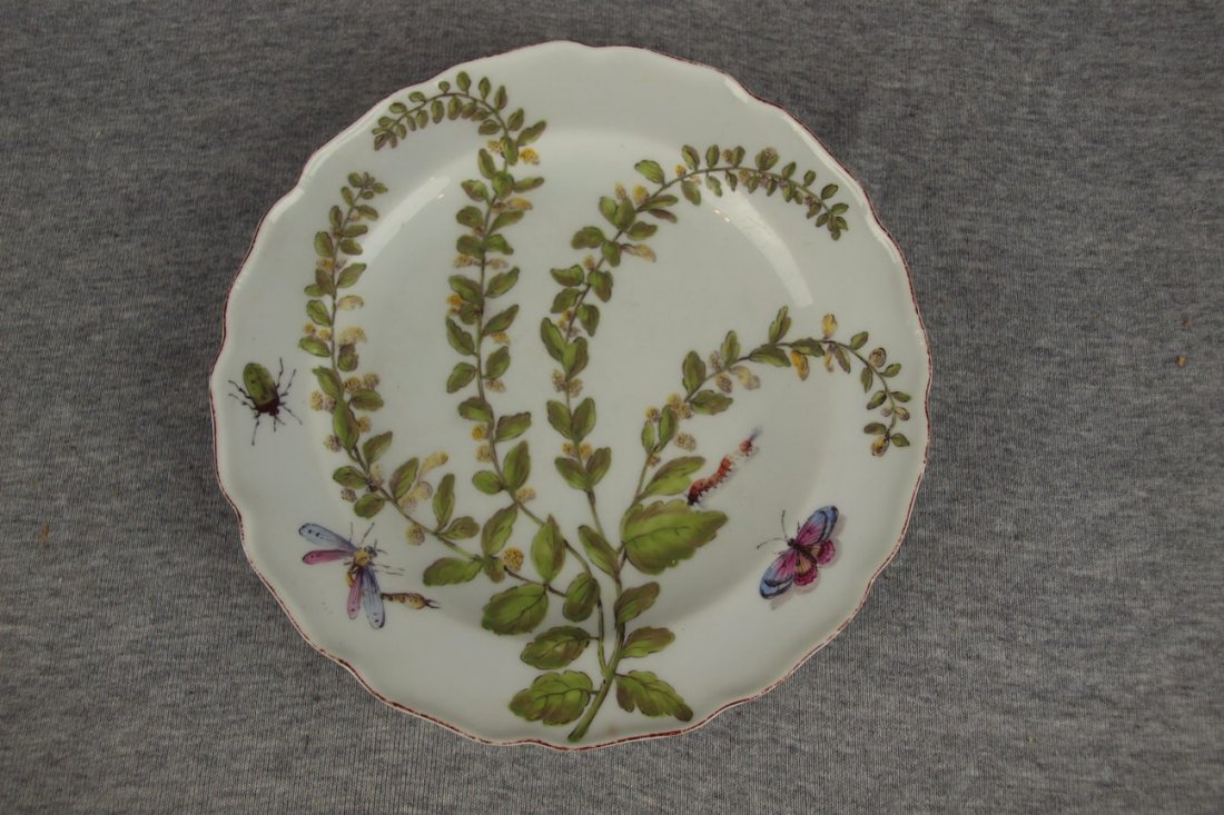 RARE Chelsea porcelain "Hans Sloane" Botanical plate