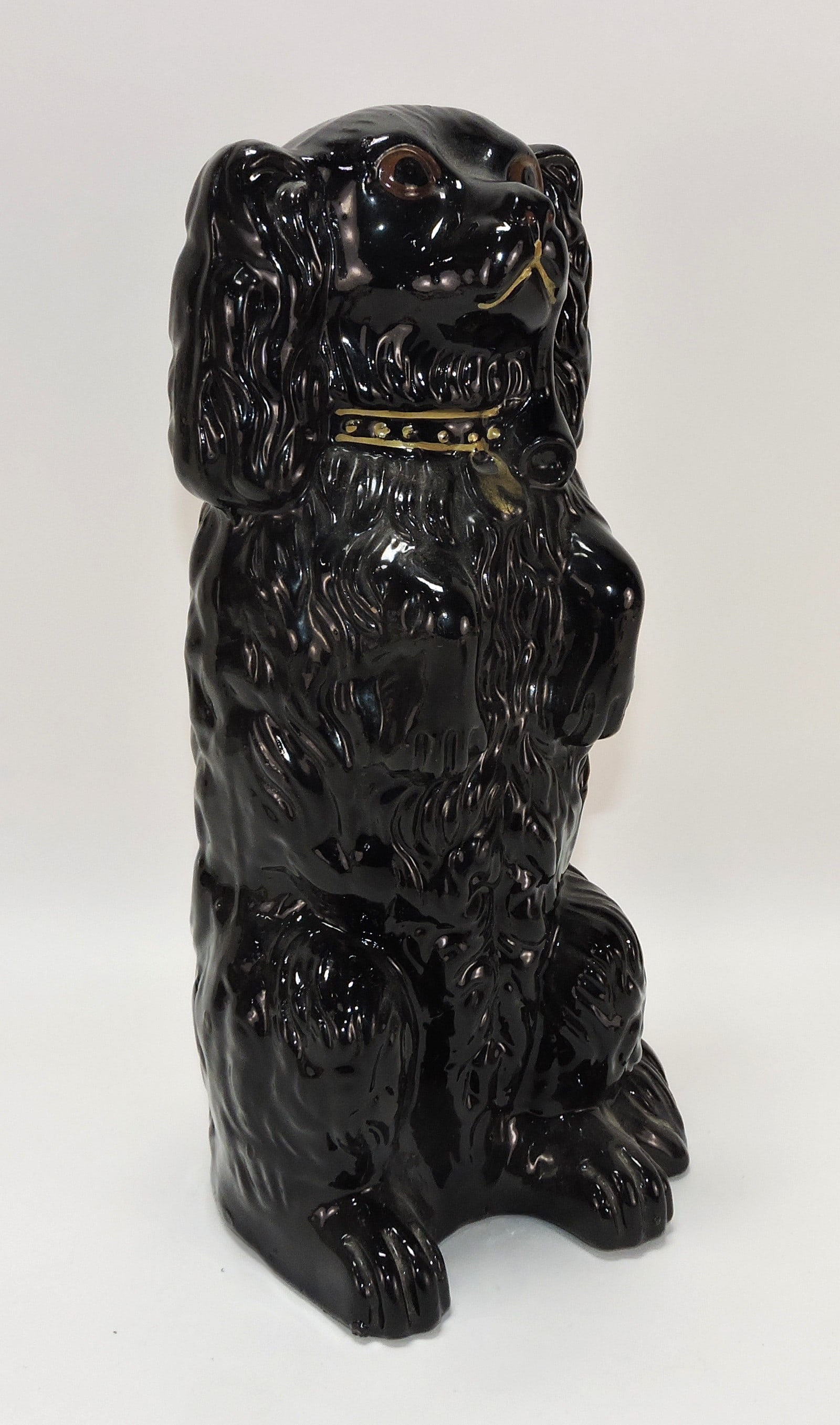 Staffordshire Jackfield spaniel, 13": .