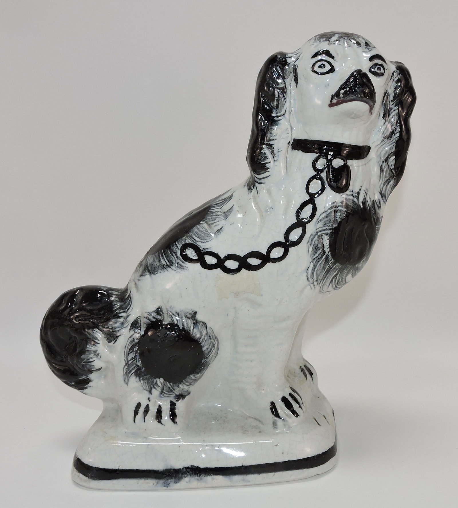 Staffordshire black and white spaniel (1 of 1)