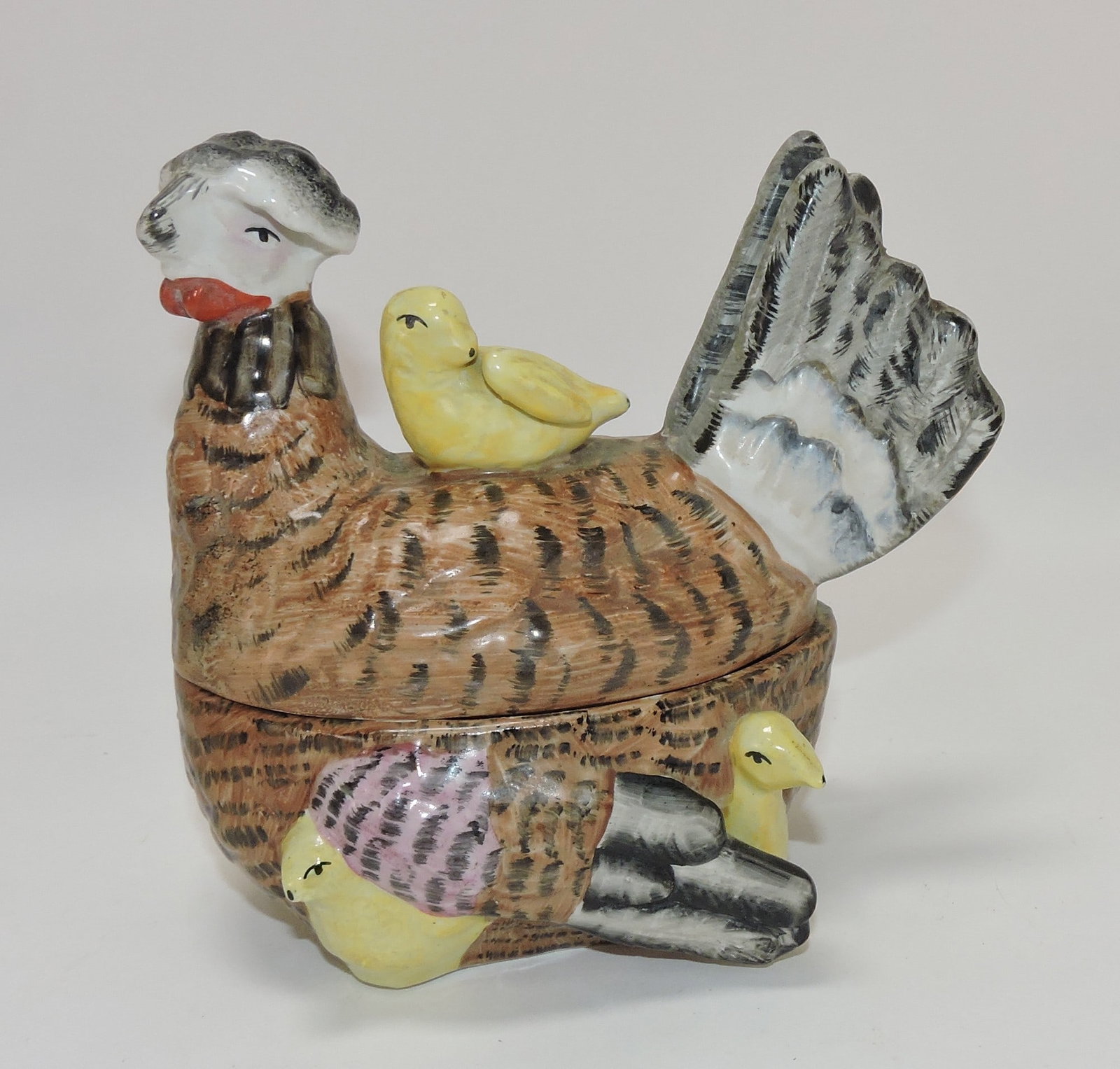 Staffordshire hen on nest with chicks, (1 of 1)