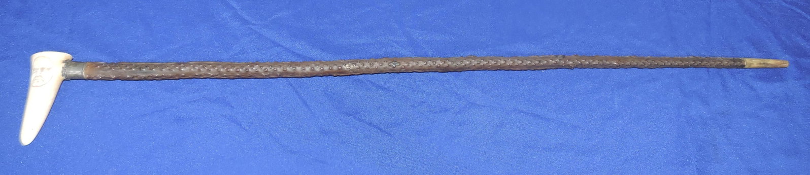 Bone handled walking cane, 35" - 3