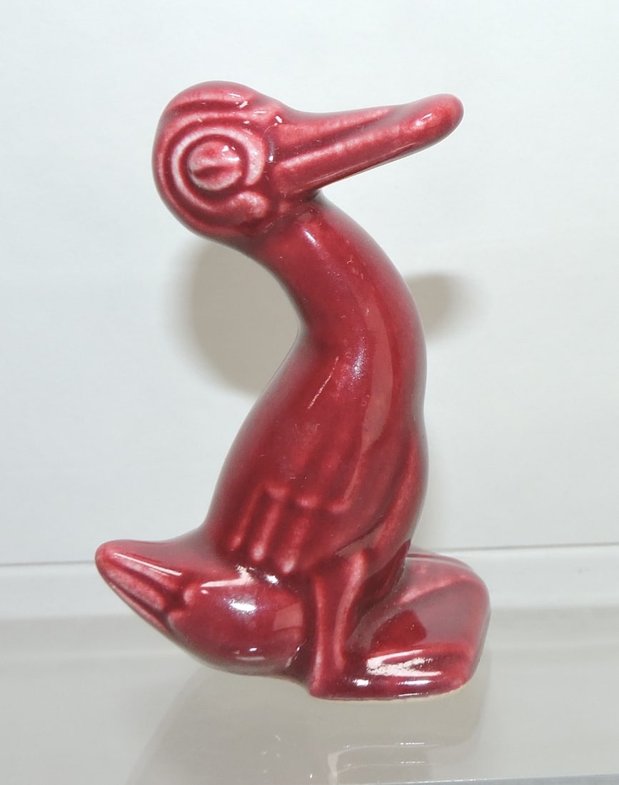 Harlequin maroon duck: .