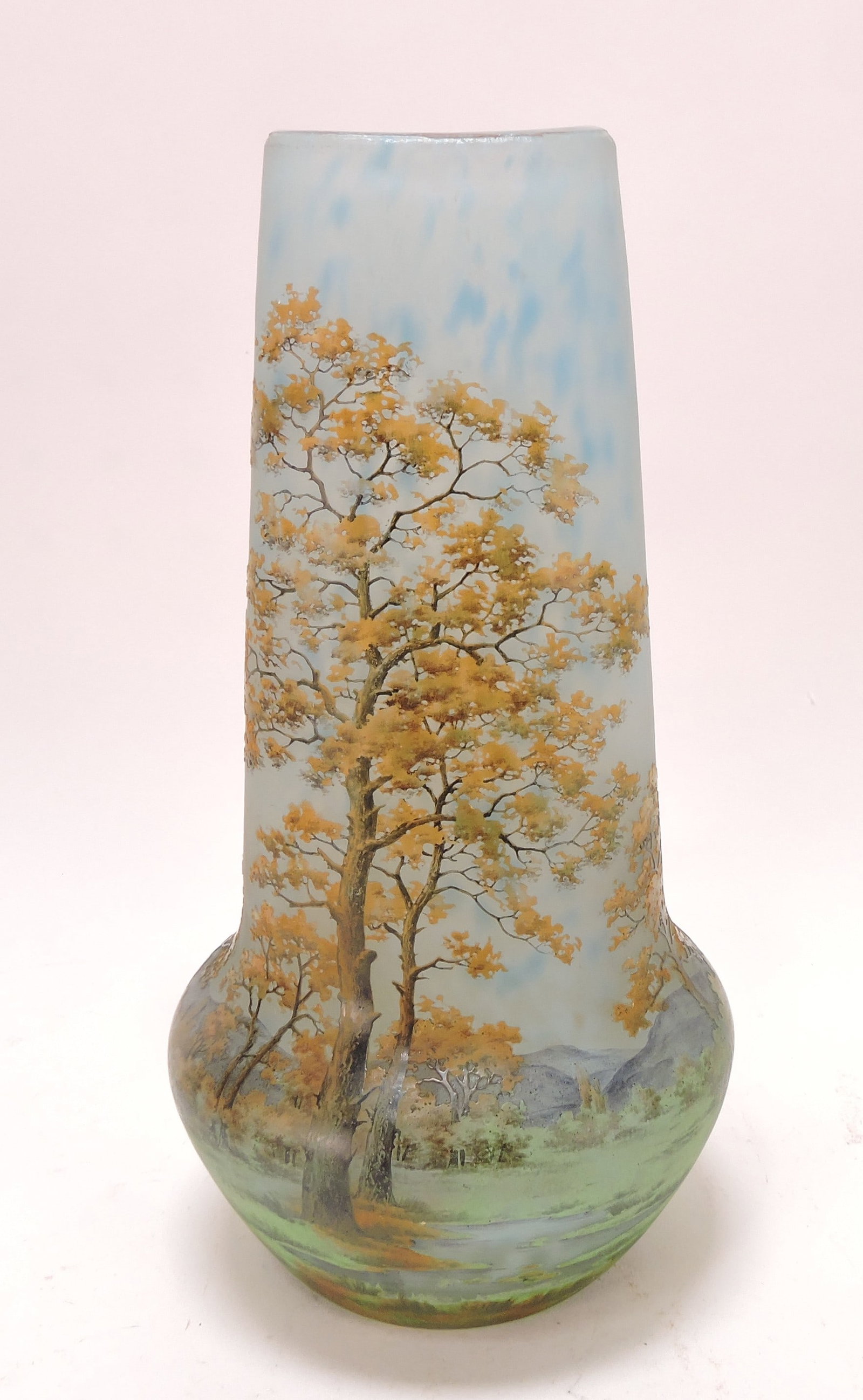 Daum Nancy French cameo art glass (1 of 5)