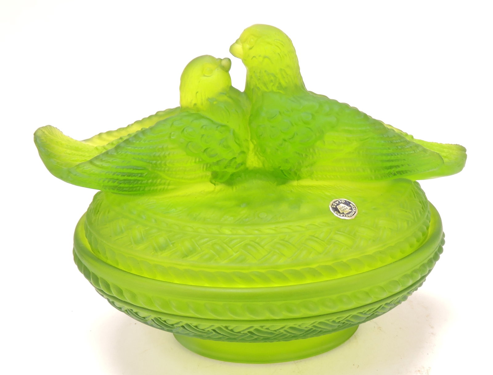 Westmoreland green lovebirds covered (1 of 1)