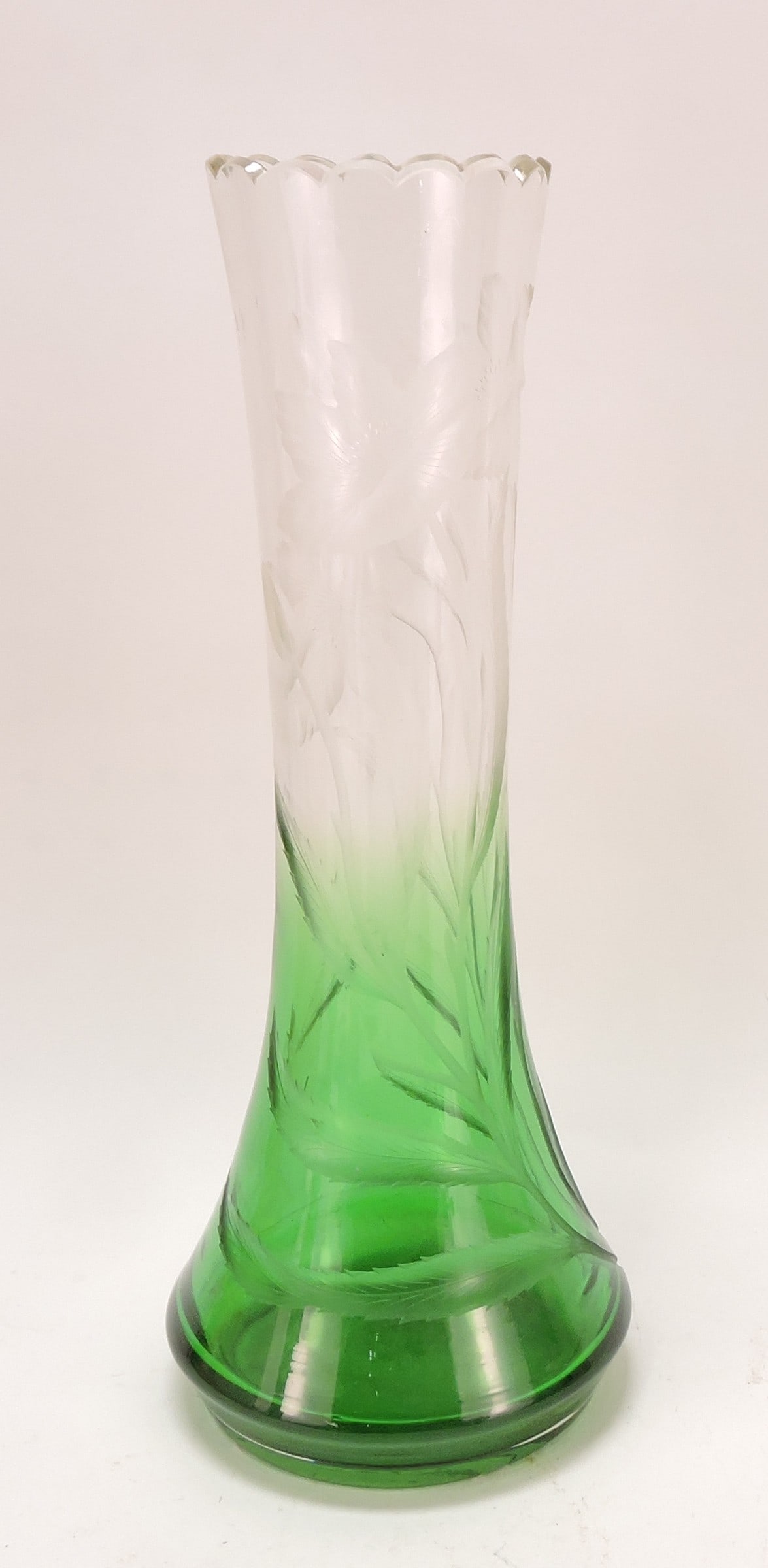 Moser Karlsbad clear over green (1 of 1)