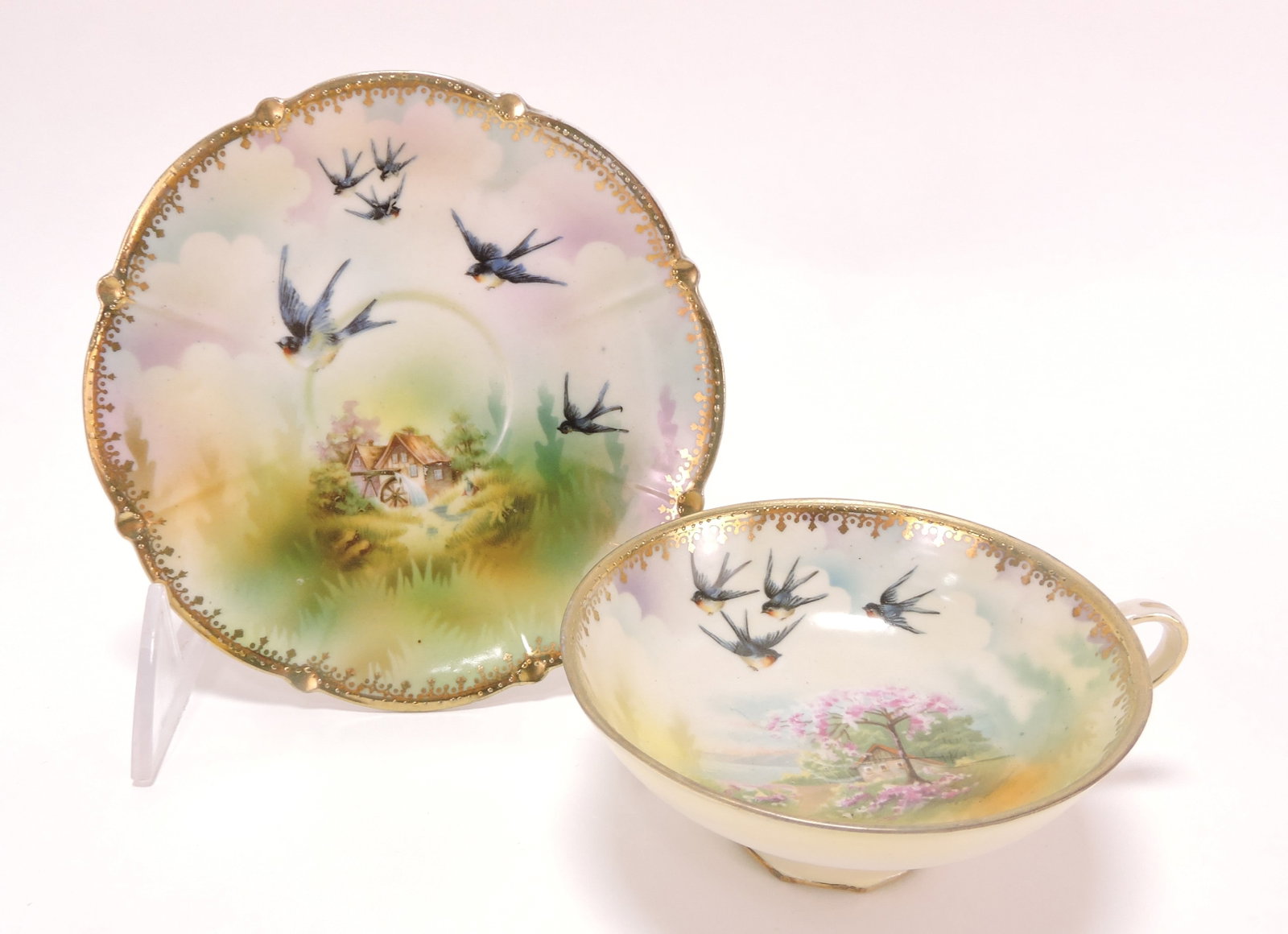 R.S. Prussia cup and saucer with: cottage and birds